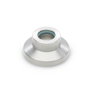 GN631.5-25-6.1 Druckstück Edelstahl mit O-Ring