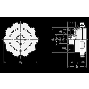 GN577.8-110-B12 Handrad für Stellungsanzeiger Elesa