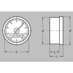 GN000.3-60-0001.0-R Stellungsanzeiger Pendelsystem Elesa