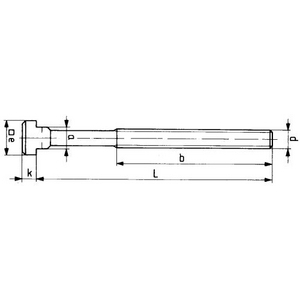 9339005060, 39005060 Schraube f.T-Nuten D787 M12x12x125mm kpl