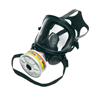 MASCHERA 1710394