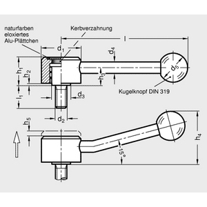 GN125.5-40-M12-50-D Flachspannhebel verstellbar Edelstahl gerade