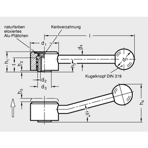 GN125.5-32-M6-E Flachspannhebel verstellbar Edelstahl schräg
