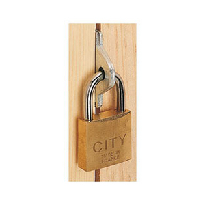 Cadenas ISEO City Aditus 30 – Anse Acier 29 Mm – 2 Clés – Sécurité Quotidienne