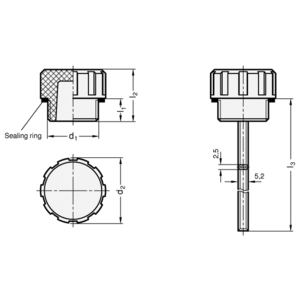 GN548.1-G11/4-A Einfülldeckel Elesa