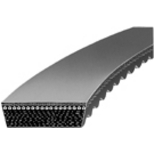CINGHIA 30X10 X 800 VP