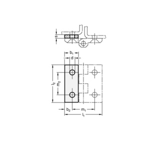 ELESA+GANTER VULPLAATJE RVS GN 2370-NI-40-5-MT