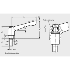 GN300.5-45-M6-32-IS Klemmhebel verstellbar Aussengewinde Edelstahl