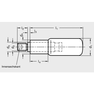 GN798.1-KT-18-M8 Drehbarer Zylindergriff mit Edelstahl-Achsteil