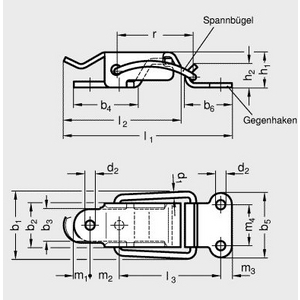 GN832.4-55-NI Spannverschluss Edelstahl