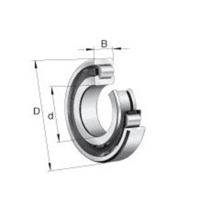 0396014120000-CUSCINETTO DI PRECISIONE N1007-K-M1-SP