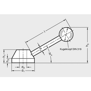 ELESA+GANTER SCHAKELHENDEL ZW 25X8 GN 223-25-B8
