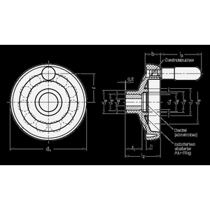 GN524-125-K12-D Scheibenhandrad Elesa