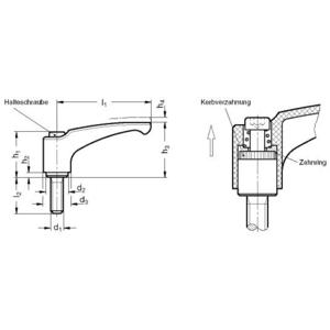 GN604-63-M10-63-SG Klemmhebel mit Schraube schwarzgrau Elesa