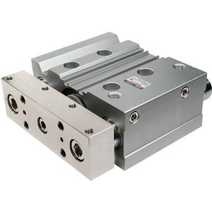 VERIN DIA 50 C100 MGPS50TF-100