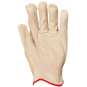 GANT MAITRISE TOUT CROUTE T10 VACHETTE STANDARD