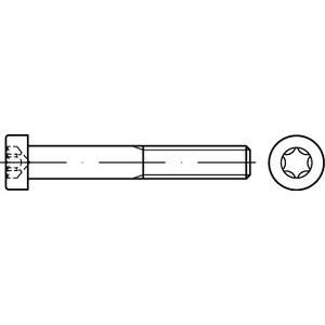 DIN7984 M5X12 T25 08.8 ZN Zylinderschraube mit Innensechsrund, niedriger Kopf