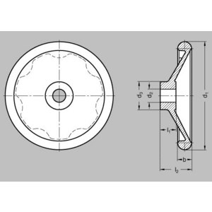 DIN3670-200-K20 Scheibenhandrad (mit Nut, ohne Stahlbuchse)