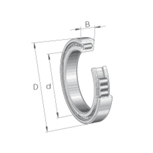 0017092910000-CUSCINETTO RADIALE A RULLI CILINDRICI SL05024-E