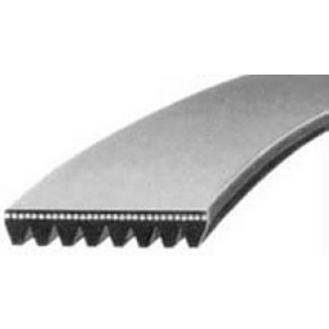 COURROIE STRIEE RB 1123PJ4