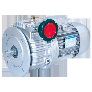 VE06C06710001-VARIATORE V 10 F D38 P132 B3 1