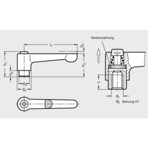 GN302-45-B6-SW Klemmhebel verstellbar schwarz gerade Ausführung