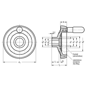 GN524-200-B20-D Scheibenhandrad Elesa
