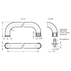 ELESA+GANTER BEUGELGREEP, RVS GN 426.5-28-300-B
