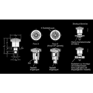GN822.7-7-M12-B Miniraster Edelstahl