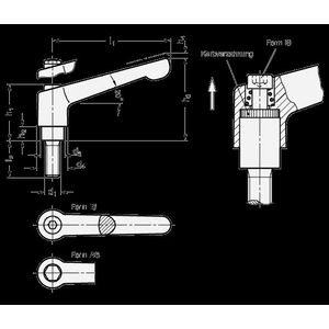 GN300.6-45-M5-25-AS Verstellbarer Edelstahl-Klemmhebel