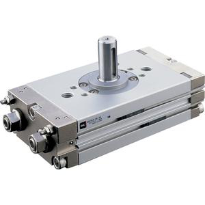 VERIN ROTATIF CDRQ2BS30TF-90C