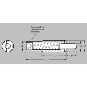 GN611-M16-40-L Federndes Druckstück
