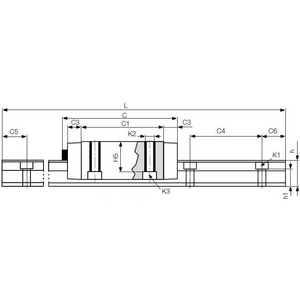 TS-01-20 Führungsschiene drylin T
