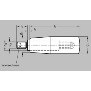 GN598.1-KU-23-M8 Drehbarer Zylindergriff mit Edelstahl-Achsteil