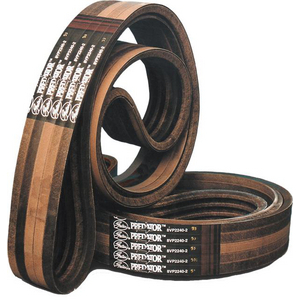 KB-5-SPBP-4250 Kraftband Powerband PREDATOR GATES