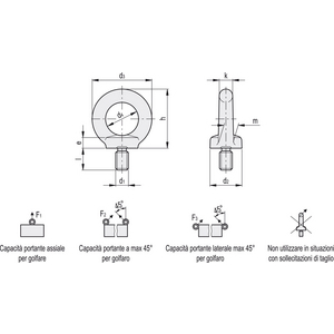 GN.21401-GOLFARE DI SOLLEVAMENTO ACCIAIO INOX DIN 580-M8-NI