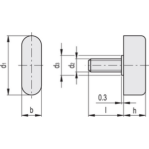 GN.29375-CHIAVETTA DI SERRAGGIO ACCIAIO INOX GN 431-25-M6-20