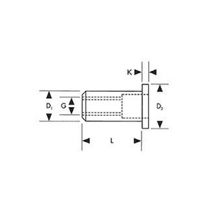 GESIPA BLINDKLINKMOER RVS A2 M8 X 11 X 20 216430317