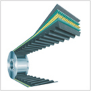 CINGHIA 28X8 X 800 VP