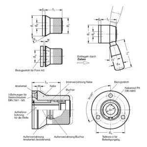 GN200-52-K12-C Arretierelement mit zwei Verstellhebeln