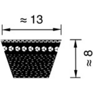 CINGHIA AX 75 X13 X 1930 STX