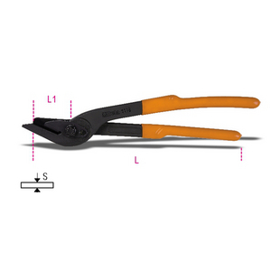 011180001-CESOIE DI SICUREZZA PER REGGIA 1118