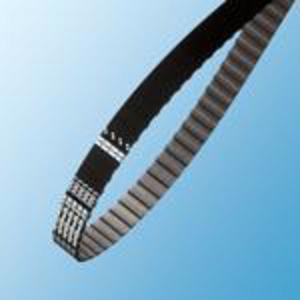 CINGHIA DENTATA 190 XL 050 ZR