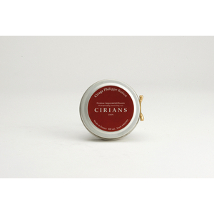 GRAISSE ENTRETIEN CHAUSS. 100ML NOIR