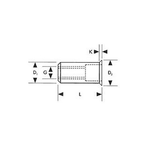 GESIPA BLINDKLINKMOER STAAL KLEINE KOP M8X11X17 216420826