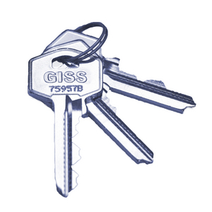 High security G5 double cylinder nickle plated brass Length mm 35x35