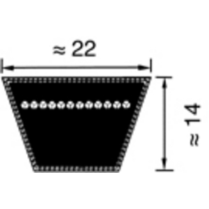 COURROIE 22X14 LI 6858 LP 6916 C270